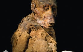 Mysteries of Ancient Egypt's Sacred Baboons Revealed