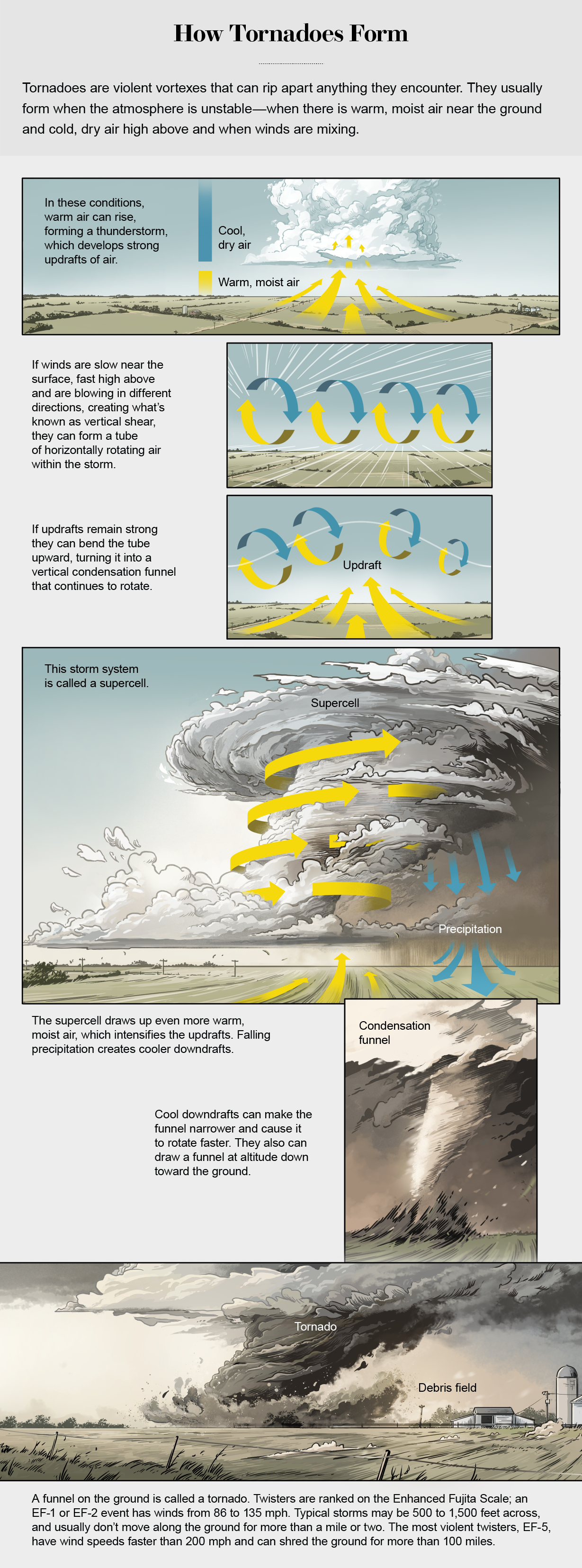 Graphic shows how vertical shear can form a tube of horizontally rotating air, with warm, moist air near the ground and cold, dry air above. Strong updrafts can bend the tube, resulting in a tornado.